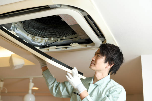 Best Local Air Duct Cleaning Services  in Savoy, IL