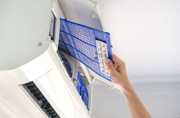 Best Home Air Vent Cleaning  in Savoy, IL